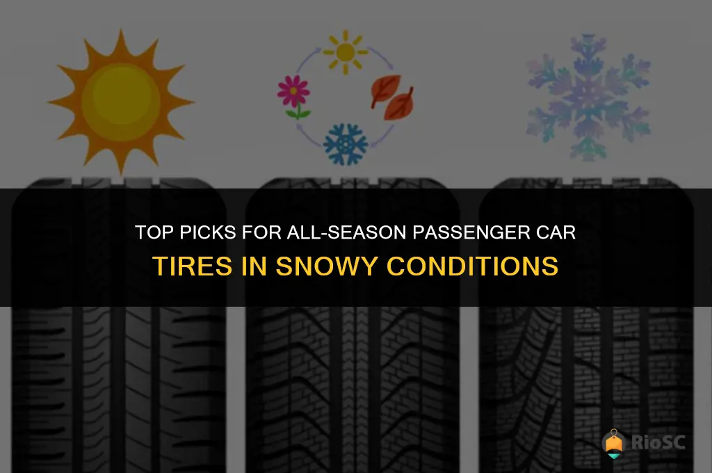 best all season passenger car tires for snow