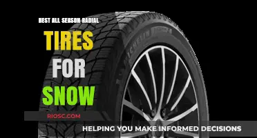 Top Picks for All-Season Radial Tires: Snow Performance Guaranteed