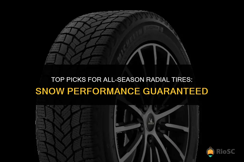 best all season radial tires for snow