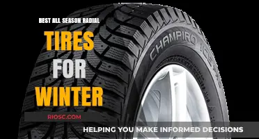 Top Picks for All-Season Radial Tires: Winter Ready Performance
