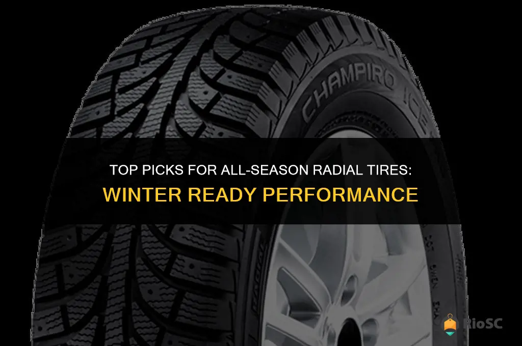 best all season radial tires for winter