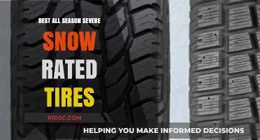 Top-Rated All-Season Tires for Severe Snow Conditions: Stay Safe and Mobile Year-Round