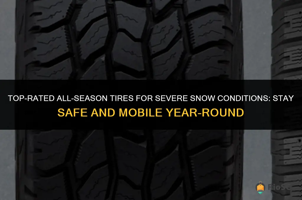 best all season severe snow rated tires
