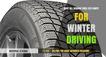 Top Picks for All-Season Tires: 215 50R17 for Winter Driving