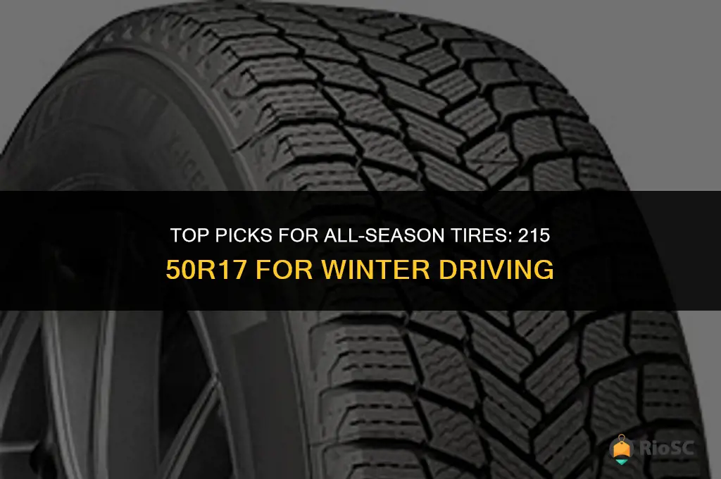best all season tires 215 50r17 for winter driving