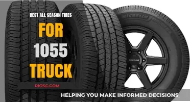 Top All-Season Tires for Your 1055 Truck: Performance, Durability, and Value