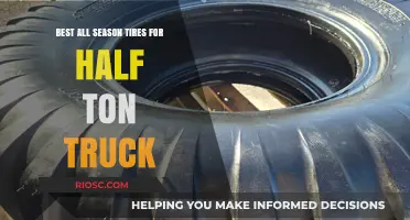 Top All-Season Tires for Half-Ton Trucks: Performance, Durability, and Value