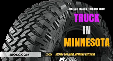 Top All-Season Tires for Light Trucks in Minnesota: Reliable Performance in Every Weather Condition