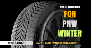 Top All-Season Tires for Pacific Northwest Winters: A Comprehensive Guide