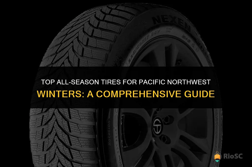 best all season tires for pnw winter