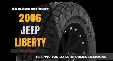 Top All-Season Tires for Snow: 2006 Jeep Liberty Edition