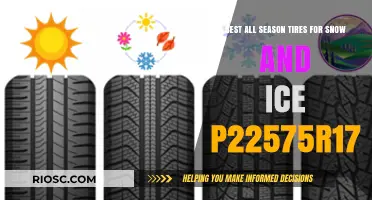 Top Picks for All-Season Tires: P225/75R17 Models That Excel in Snow and Ice Conditions