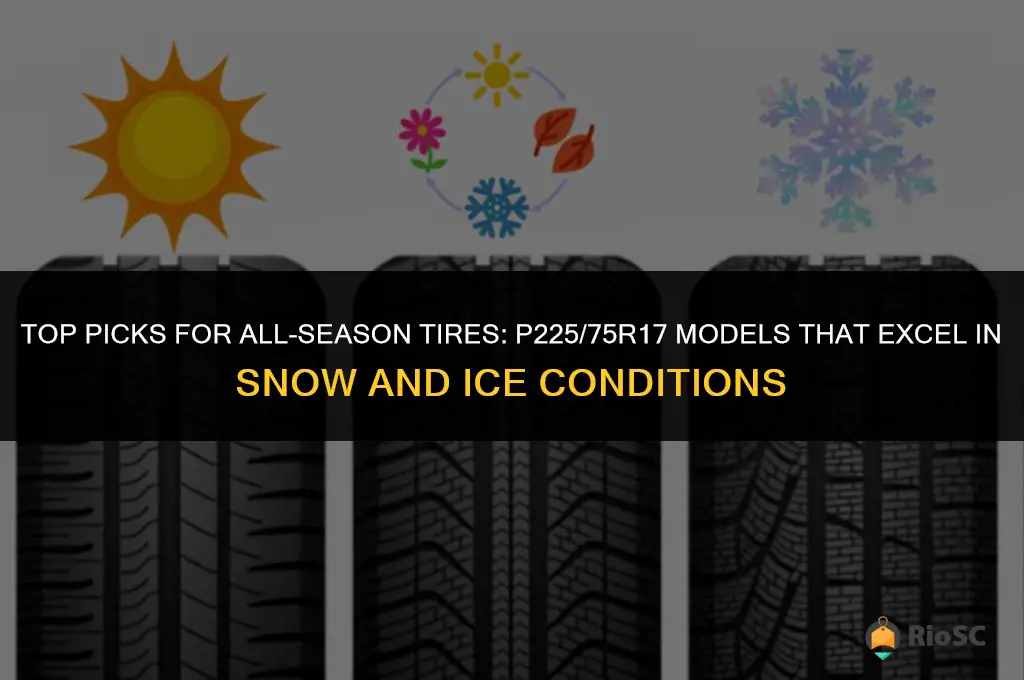 best all season tires for snow and ice p22575r17
