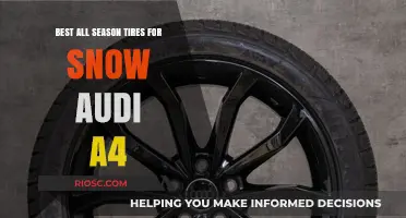 Top All-Season Tires for Snow: Audi A4 Edition
