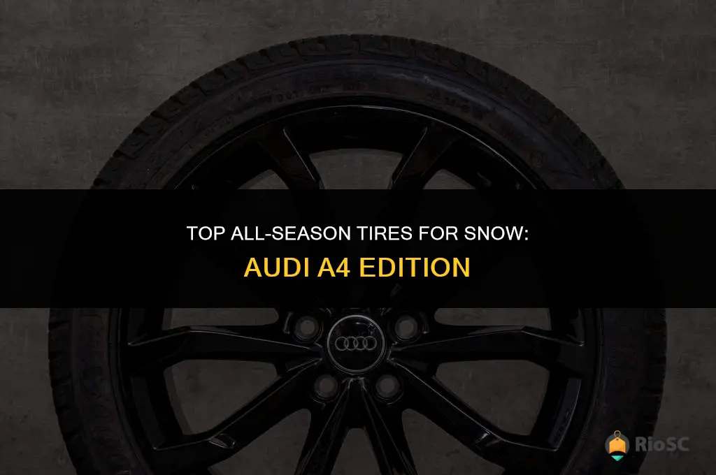best all season tires for snow audi a4