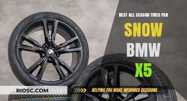 Top All-Season Tires for Snow: BMW X5 Edition