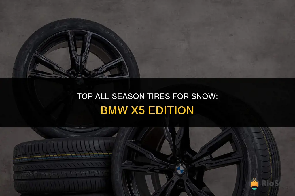 best all season tires for snow bmw x5