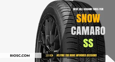 Top All-Season Tires for Snow-Ready Camaro SS Performance