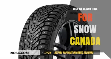 Top All-Season Tires for Canadian Winters: A Comprehensive Guide