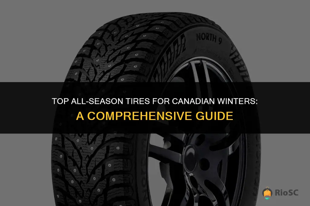 best all season tires for snow canada