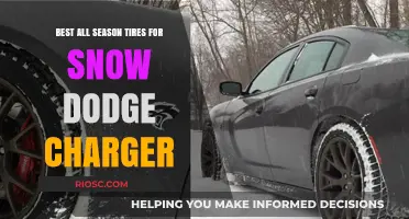 Top All-Season Tires for Snow: Dodge Charger Edition
