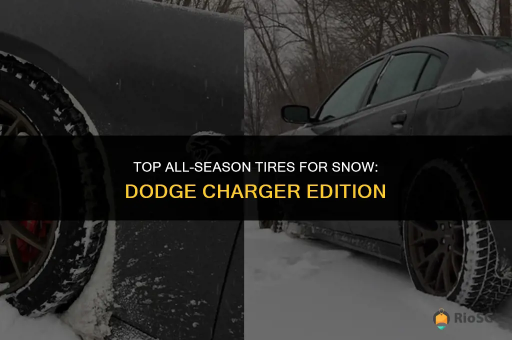 best all season tires for snow dodge charger