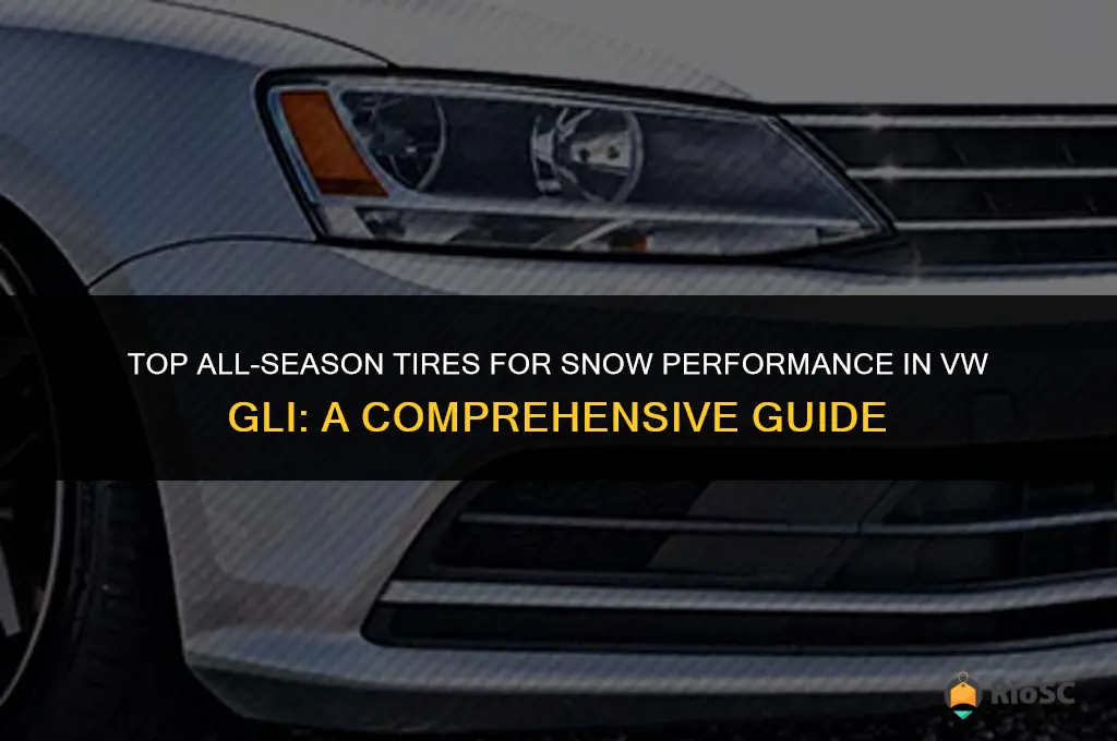 best all season tires for snow for vw gli