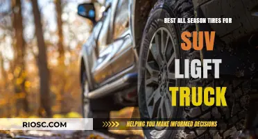 Top All-Season Tires for SUVs and Light Trucks: Performance, Durability, and Value