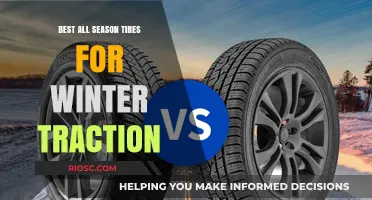 Top Picks for All-Season Tires with Superior Winter Traction