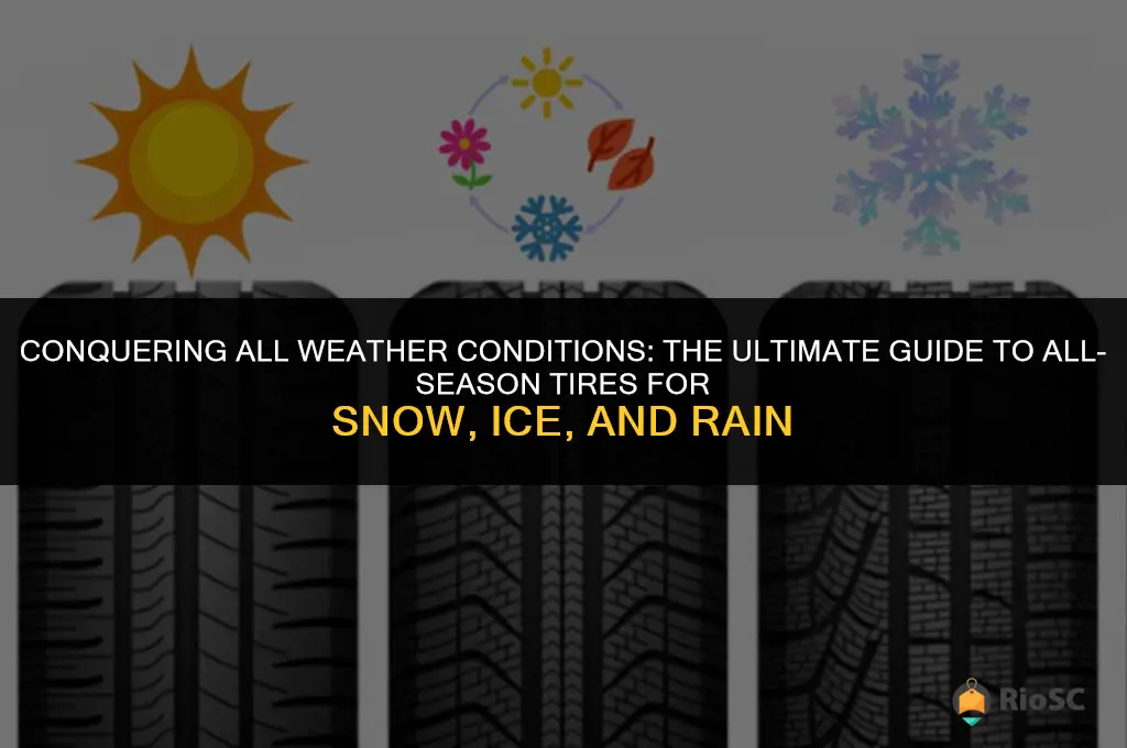best all season tires snow ice and rain