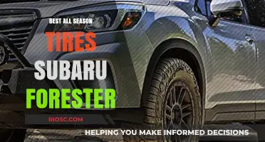 Top All-Season Tires for Subaru Forester: A Comprehensive Guide