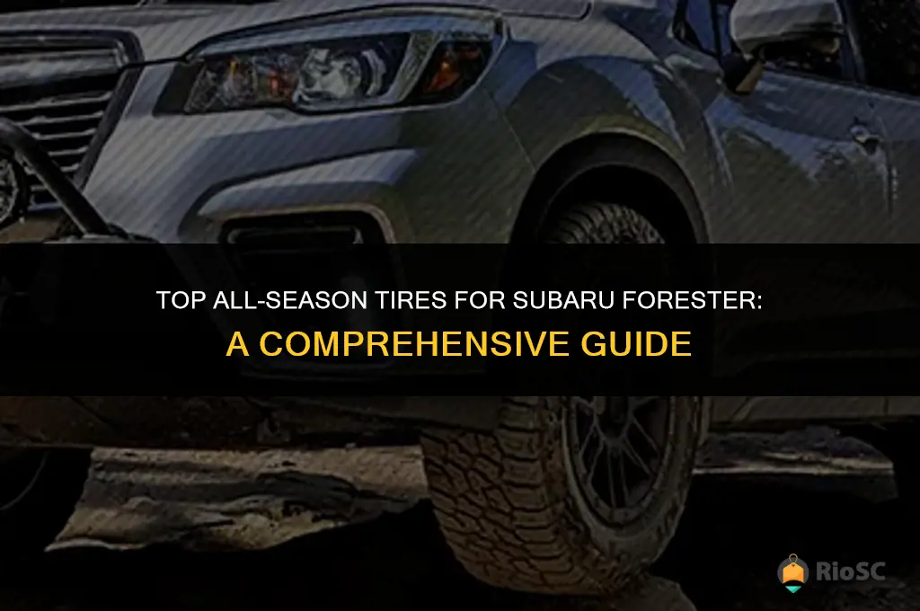 best all season tires subaru forester