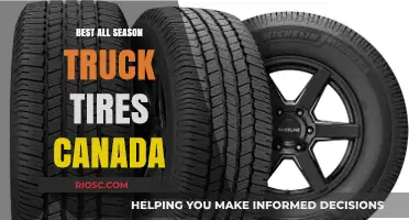 Top All-Season Truck Tires for Canadian Drivers: Performance, Durability, and Value