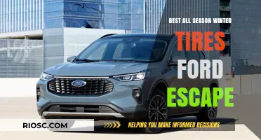 Top All-Season Winter Tires for Ford Escape: Stay Safe and Stylish on the Road