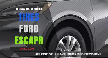Top All-Season Winter Tires for Ford Escape: Stay Safe and Stylish on the Road