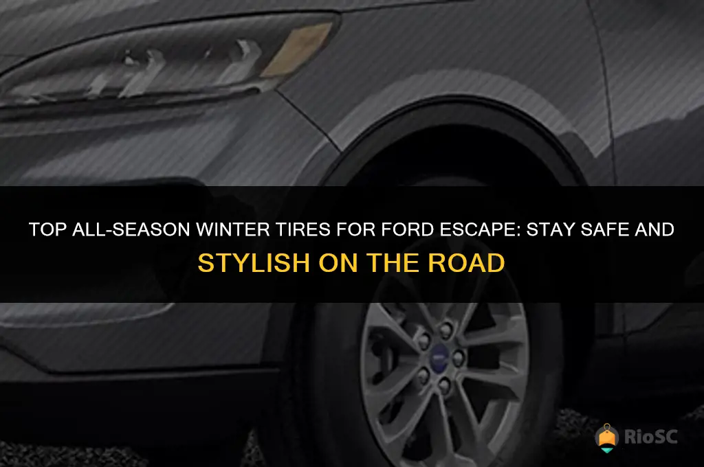 best all season winter tires ford escapr