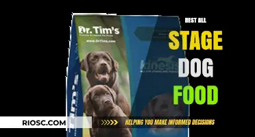 Nourishing Your Furry Friend: The Ultimate Guide to All-Stage Dog Food
