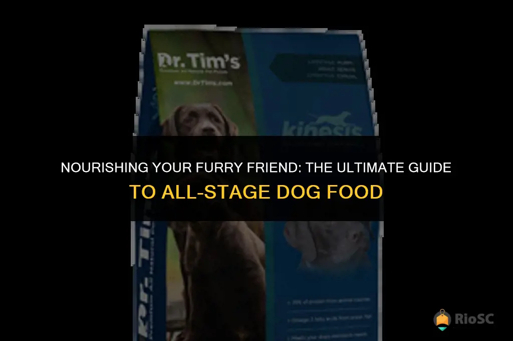best all stage dog food