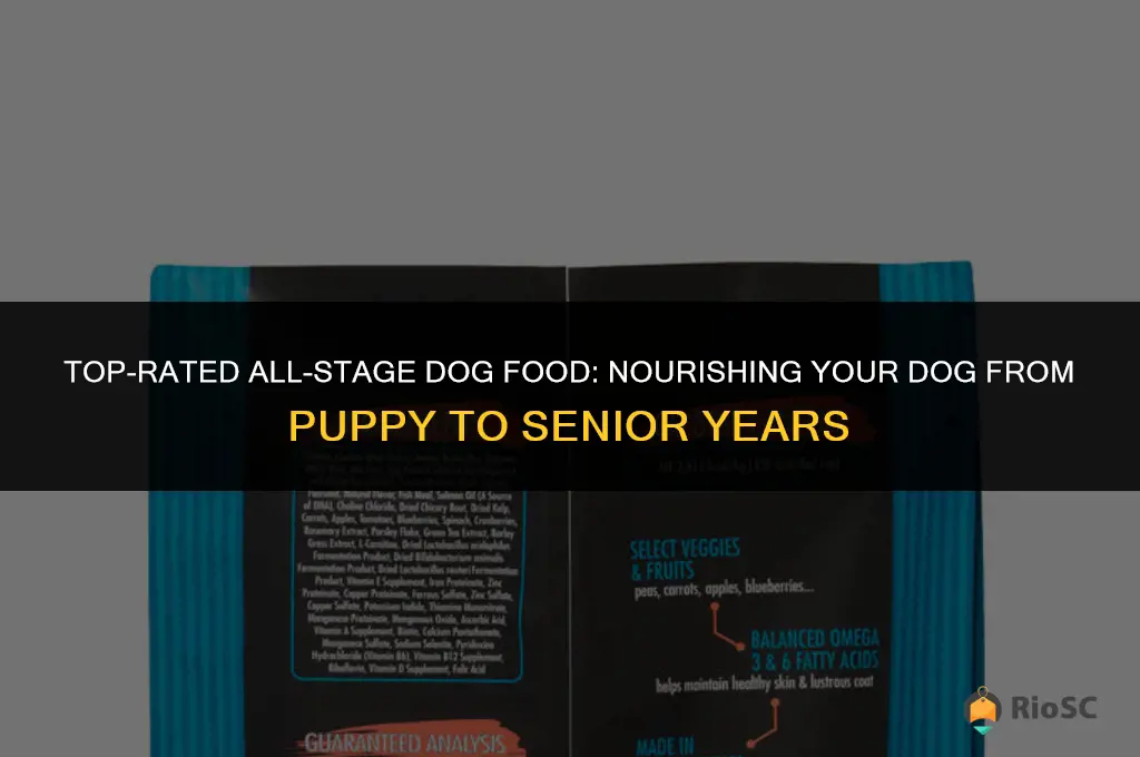 best all stages dog food