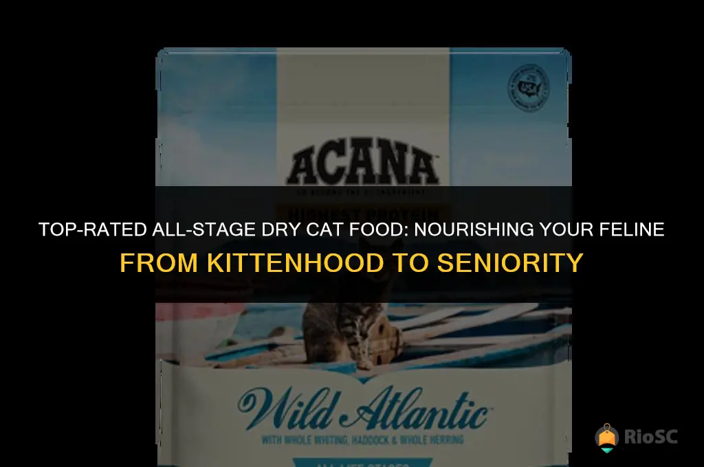 best all stages dry cat food