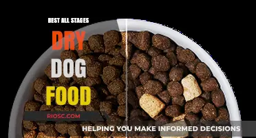 Top-Rated All-Stage Dry Dog Food: Nourishing Your Canine Companion from Puppyhood to Senior Years
