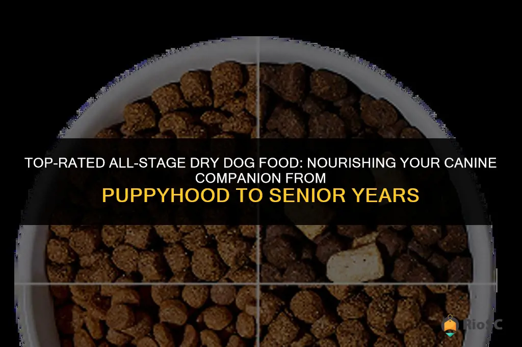 best all stages dry dog food