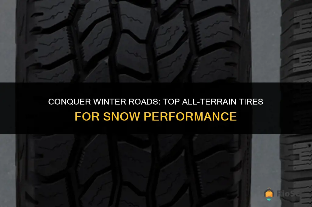 best all terain tires for snow
