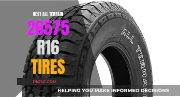 Unleashing the Power of All-Terrain Tires: The Ultimate 265/75 R16 Options