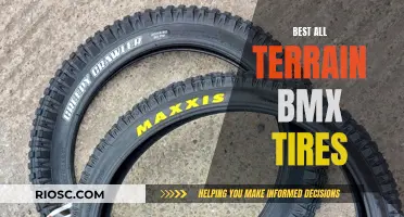 Rugged Rollers: Choosing the Ultimate All-Terrain BMX Tires