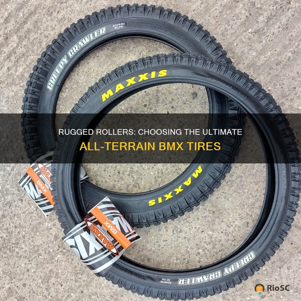 best all terrain bmx tires