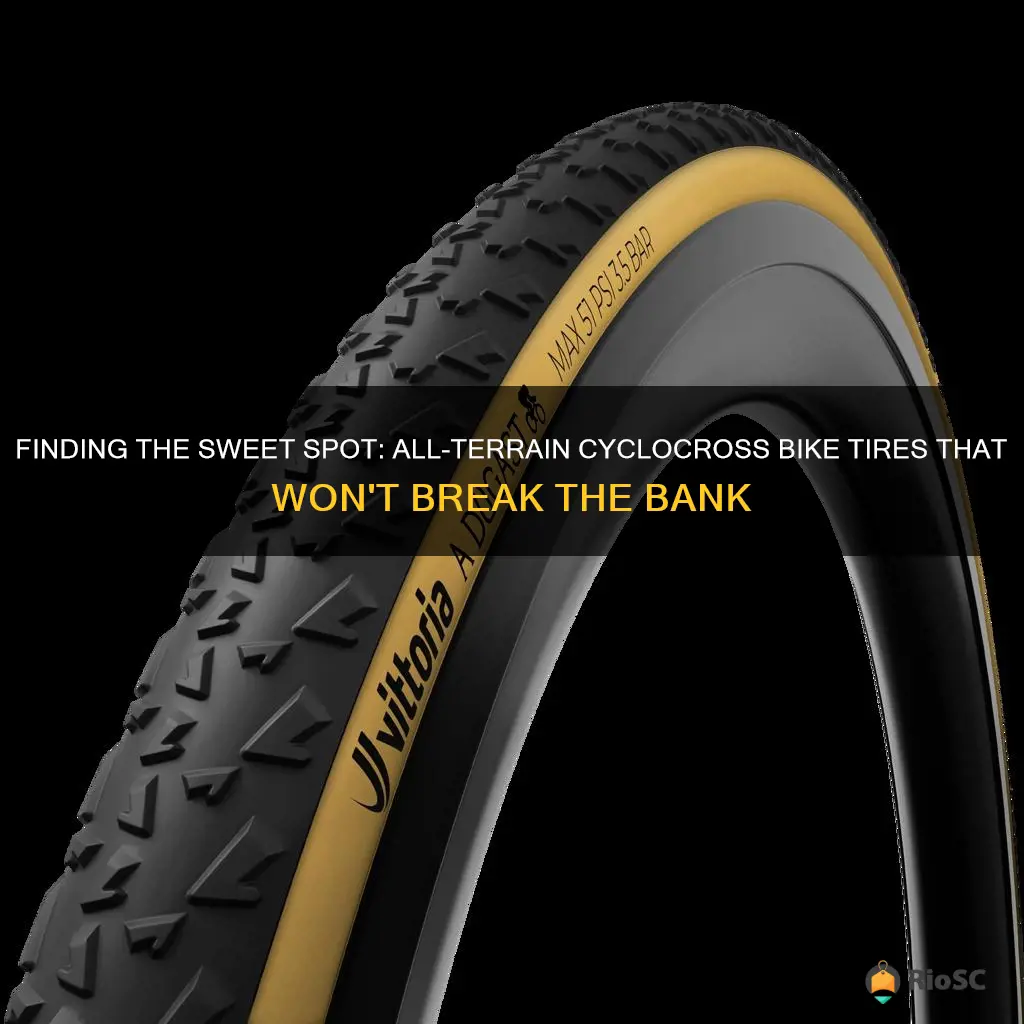 best all terrain cyclocross bike tires for the money