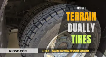 Rugged Reliability: All-Terrain Dually Tires Put to the Test