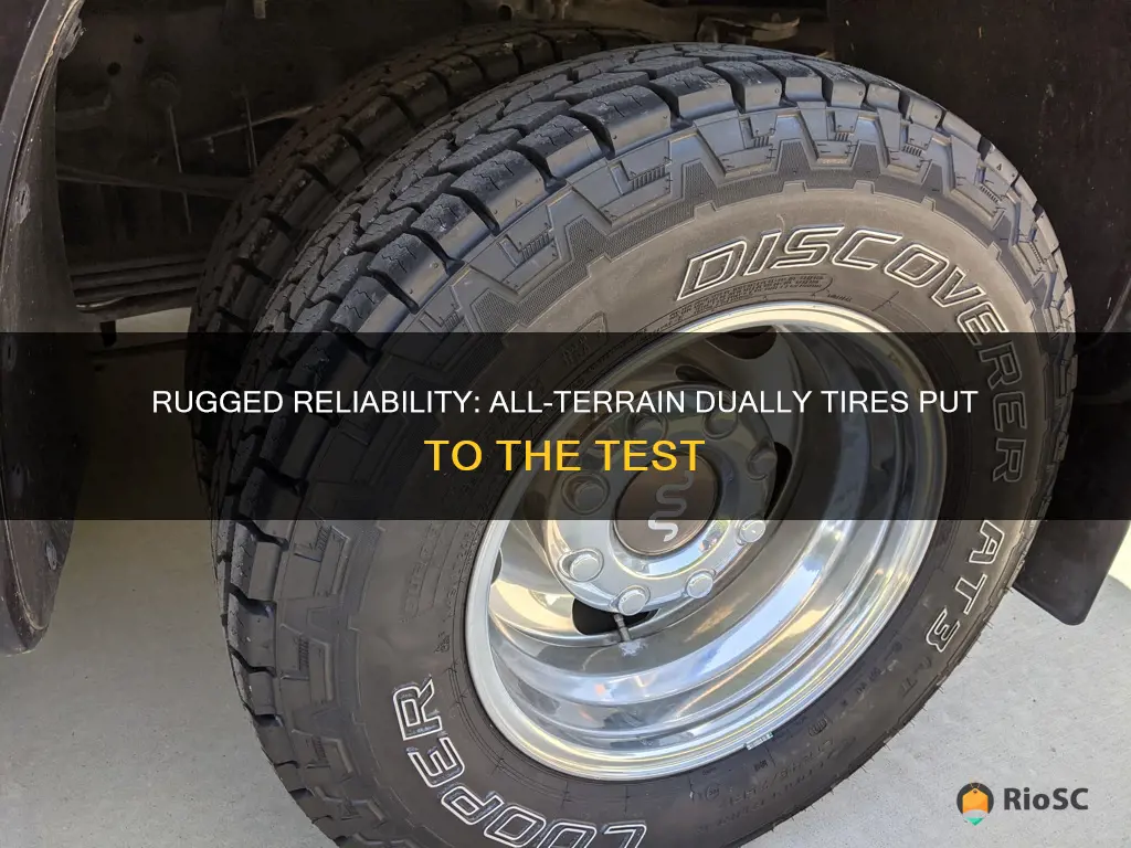 best all terrain dually tires