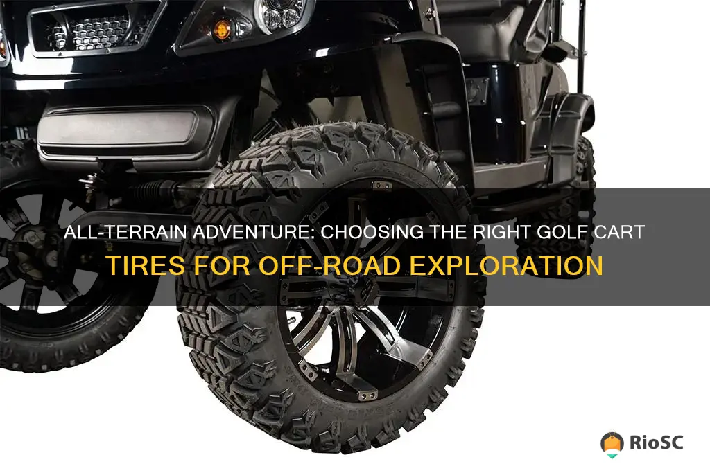 best all terrain golf cart tires